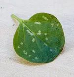 PBG02800.jpg