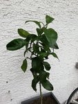 IMG_20190802_191014.jpg