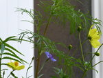 P1060350.JPG
