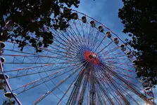 2019mtl06.webp