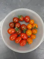 20190802_180237.webp