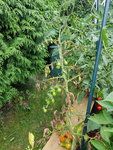 20190803_145920.jpg