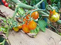 20190803_145721.webp