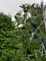 20190803_145931.webp