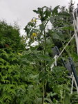 20190803_145931.jpg