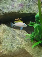 20190803_152855.webp