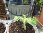 20190803_151440_resized.jpg