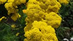 DSC02802.jpg
