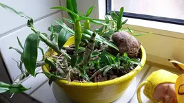 20190804_120213.webp