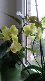 20190804_120035.webp