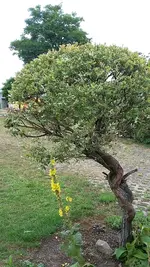 20190804_154548.webp