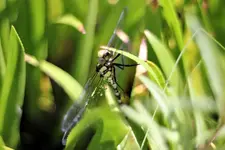 image004.webp