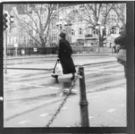 IMG_20190804_0002.webp IMG_20190804_0002.webp