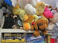 IMG_5786 - Copy.webp