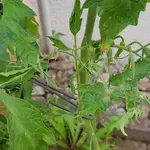 20190805_122607.webp 20190805_122607.webp