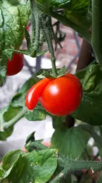 20190803_120007.webp