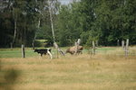 DSC08161.JPG