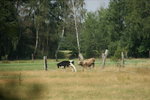 DSC08162.JPG