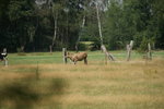DSC08163.JPG