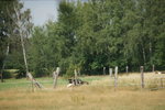 DSC08165.JPG