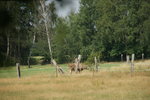 DSC08167.JPG