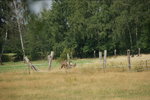 DSC08169.JPG