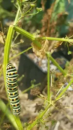 20190804_164209.webp