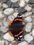 20190803_165010.jpg