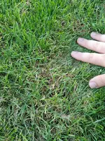20190722_185057.webp