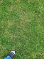 20190730_184415.webp