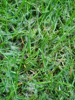 20190804_103333.webp