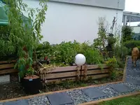 IMG_20190805_161223.webp