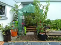 IMG_20190805_161232.webp