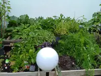 IMG_20190805_161312.webp