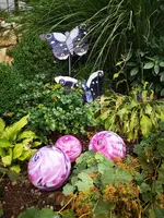 IMG_20190806_111820.webp