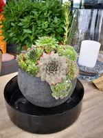 IMG_20190806_112134.webp