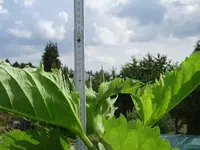 k-DSC01390.JPG