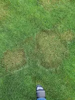 20190809_081707.webp