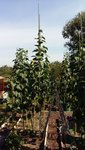 2019-08-09 10.13.45.jpg