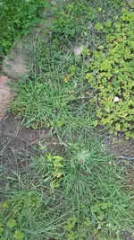 20190808_113106.webp
