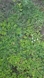 20190808_113057.webp