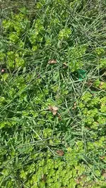 20190808_112631.webp