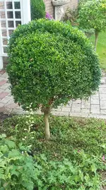 20190807_151209.webp