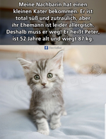 IMG-20190808-WA0000.webp
