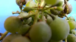 04.webp