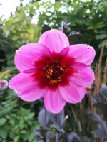 20190807_182238.webp