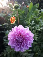 20190808_193502.webp