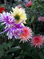 20190804_200825.webp