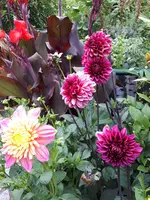 20190804_180224.webp
