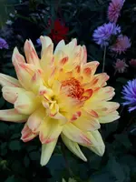 20190804_200816.webp